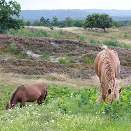 Lyng Dal Og Restaurant Hotel *