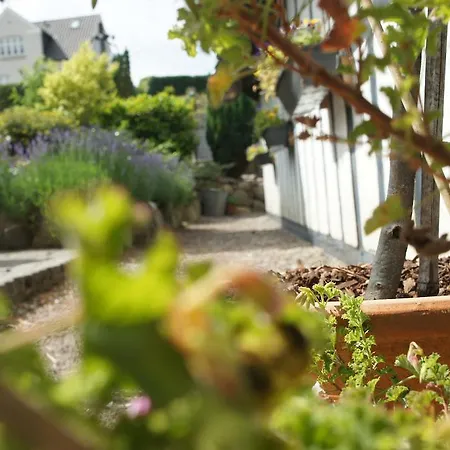 Ξενοδοχείο Lyng Dal Og Restaurant *