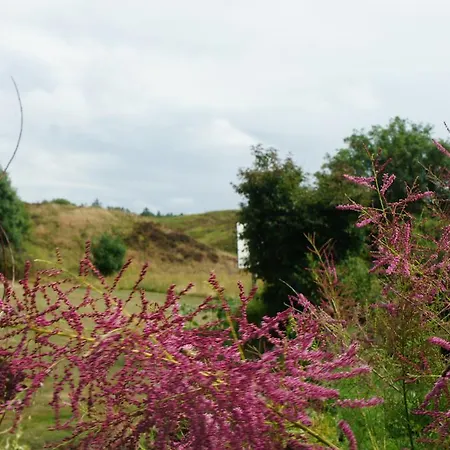 Lyng Dal Og Restaurant Ry