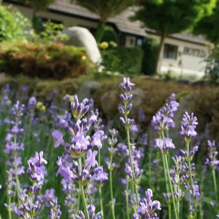 Lyng Dal Og Restaurant