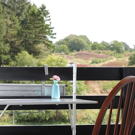 Lyng Dal Og Restaurant Ξενοδοχείο *