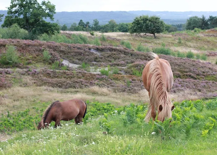 Lyng Dal Og Restaurant Hotell *