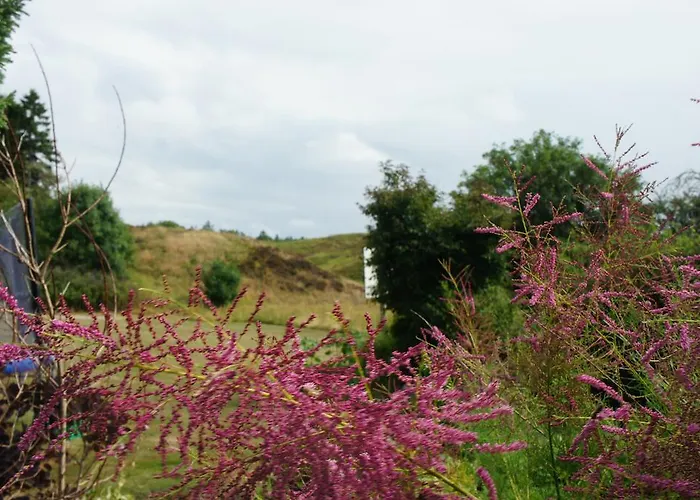 Lyng Dal Og Restaurant Ry