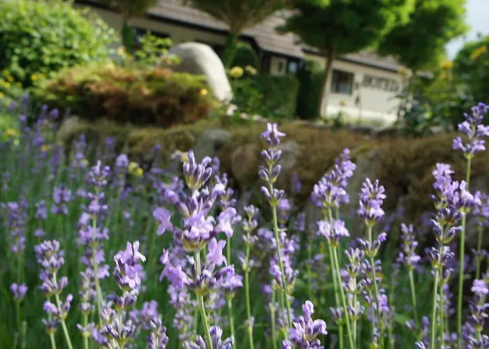 Lyng Dal Og Restaurant